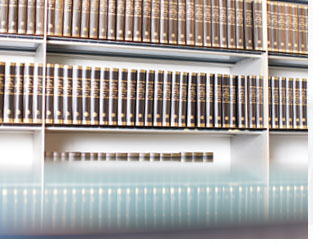 Internationale Anwaltskanzlei Hamburg